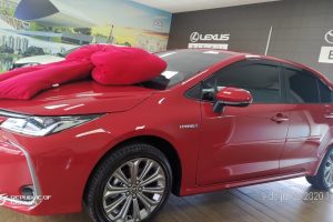 Seguro de Automóveis