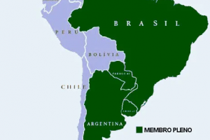 Seguro Carta Verde