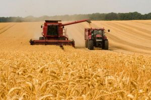 Seguros de Riscos e Equipamentos Rurais